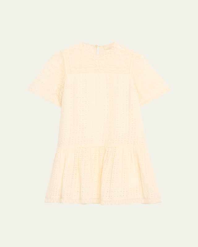 Gabi Embroidered Mini Dress